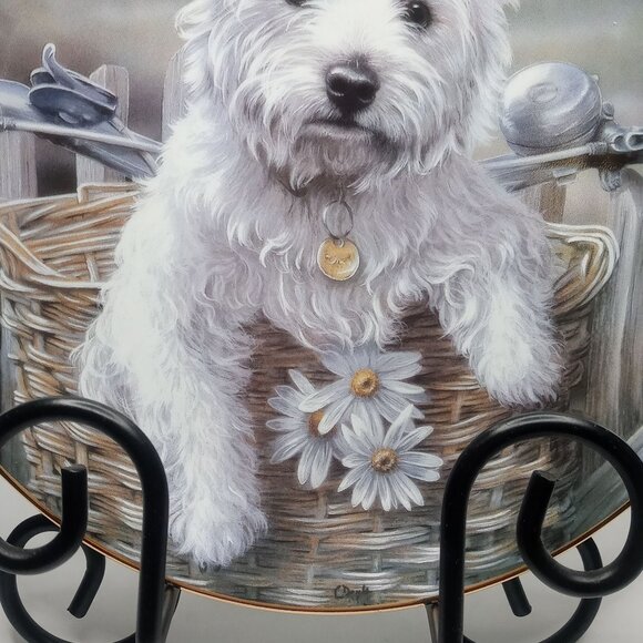 Decorative Limited Edition West Highland Terrier Collectible Plate by Paul Doyle - Picture 3 of 9